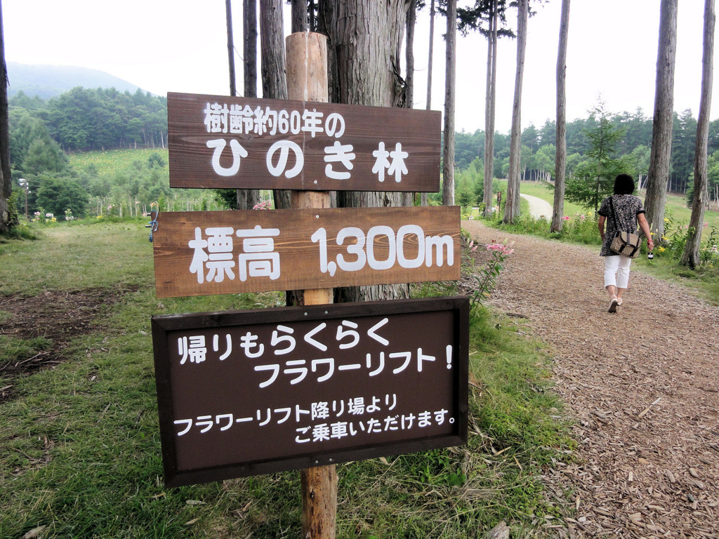 ハンターマウンテンゆりパーク