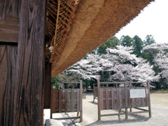 桜町陣屋