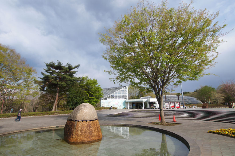 公園の風景