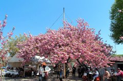 天平の丘公園