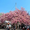 天平の丘公園