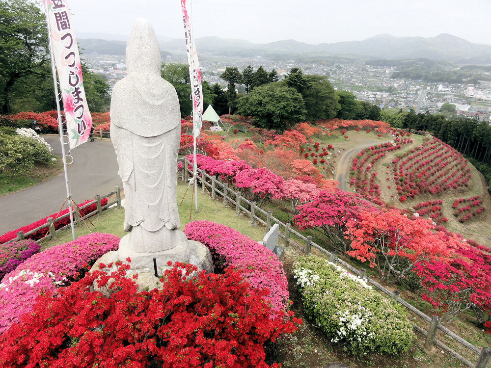 笠間つつじまつり　