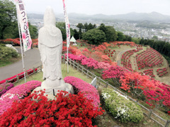 笠間つつじまつり　