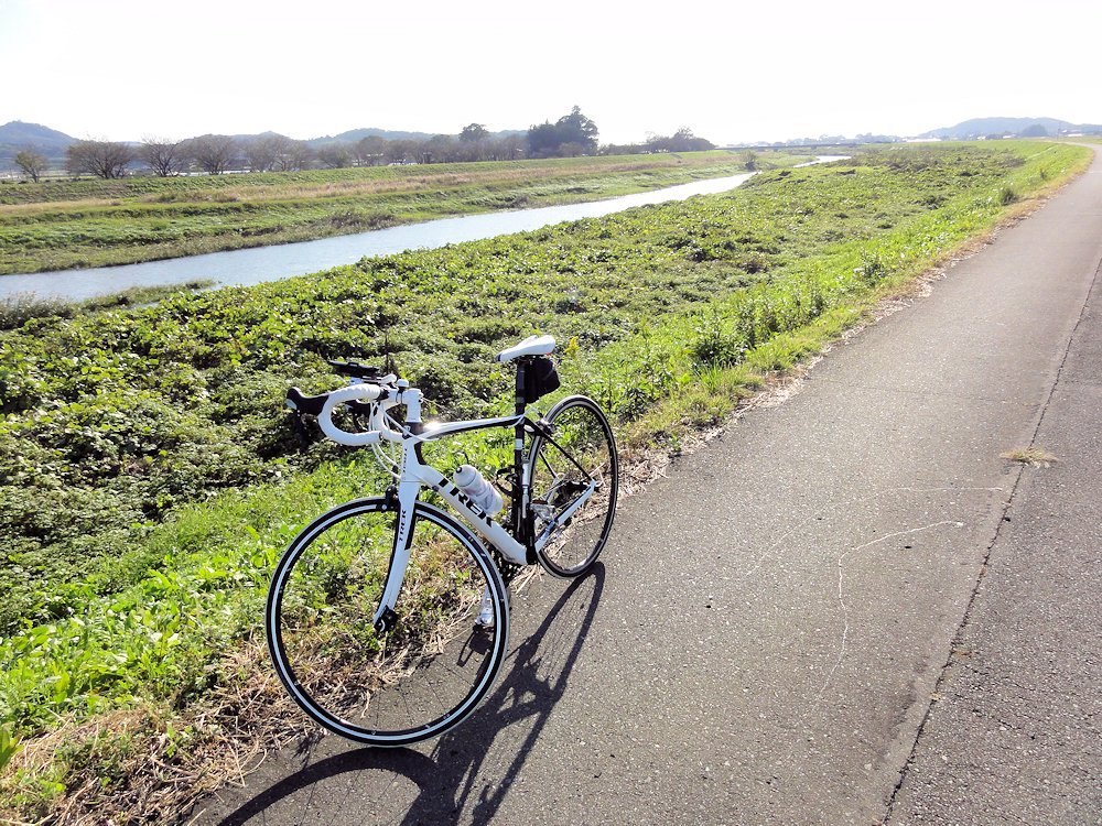 小貝川右岸にて
