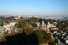 栃木県庁　展望ロビー