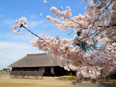 桜町陣屋