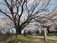 桜町陣屋