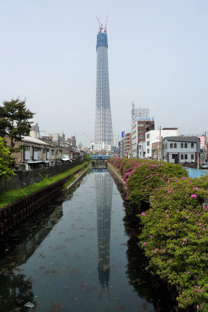 東京スカイツリー　西十間川より