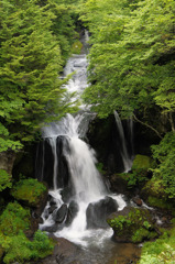 日光　竜頭の滝