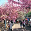 天平の丘公園