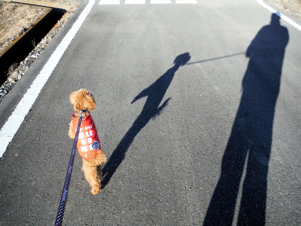 背比べ