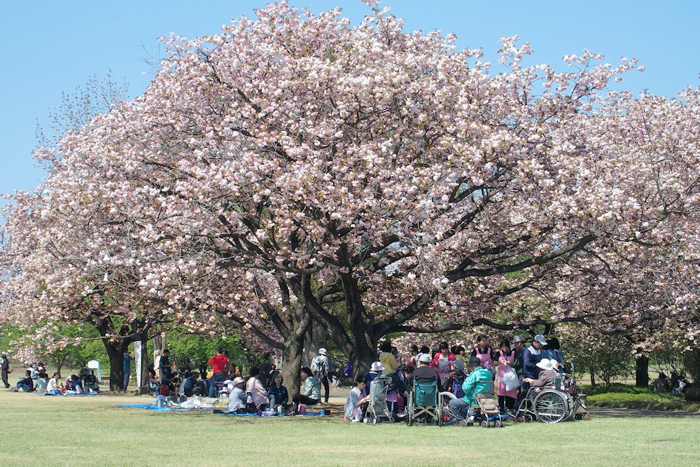 天平の丘公園