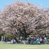 天平の丘公園