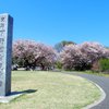天平の丘公園