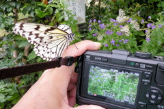 邪魔するなよ！！