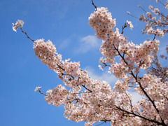 桜町陣屋