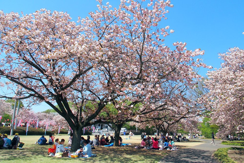 天平の丘公園
