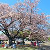 天平の丘公園