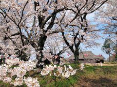 桜町陣屋