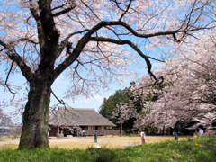 桜町陣屋