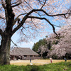 桜町陣屋