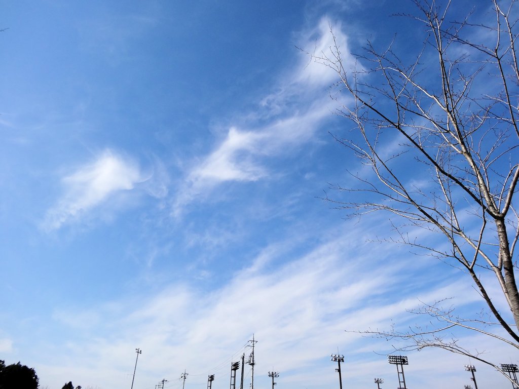 秋の空