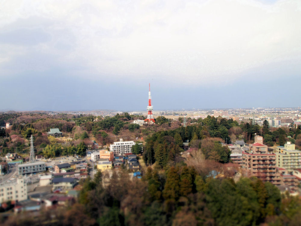 栃木県庁展望ロビーより