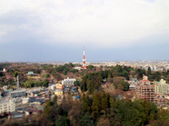 栃木県庁展望ロビーより