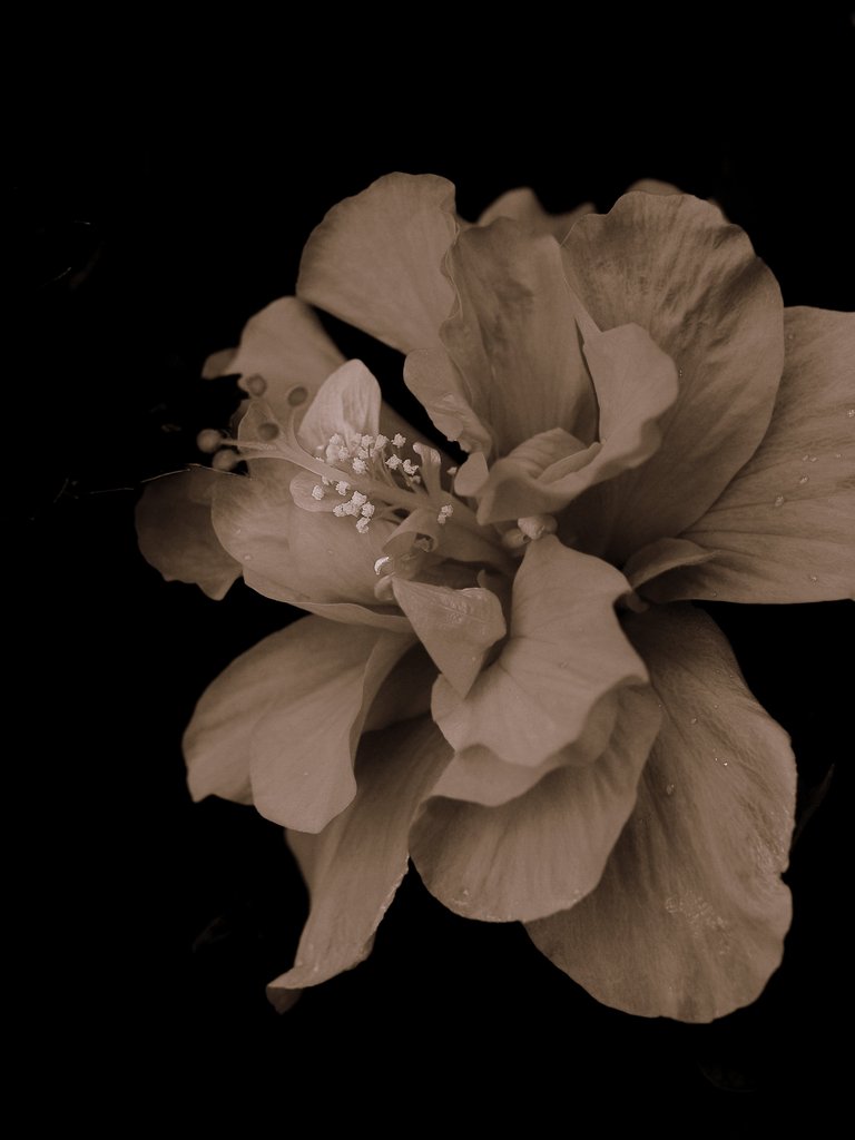 P9213118@4