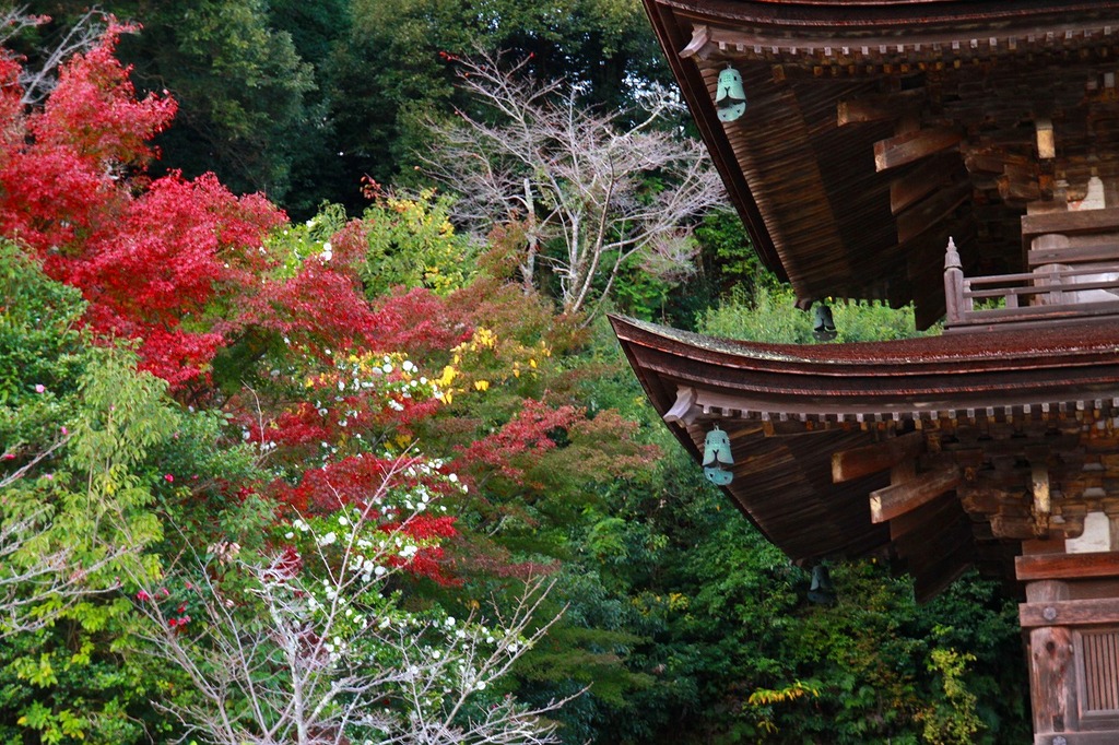 国宝瑠璃光寺　やまぐち