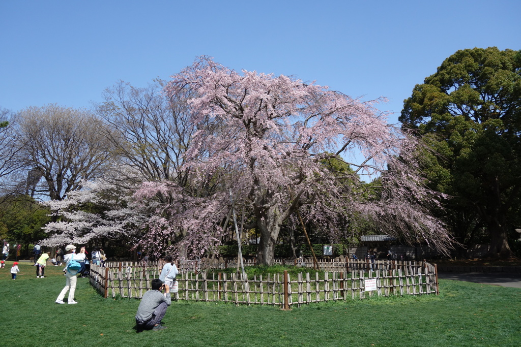 平塚総合公園