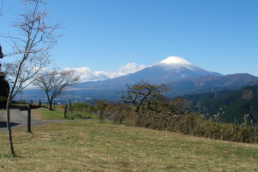 富士山