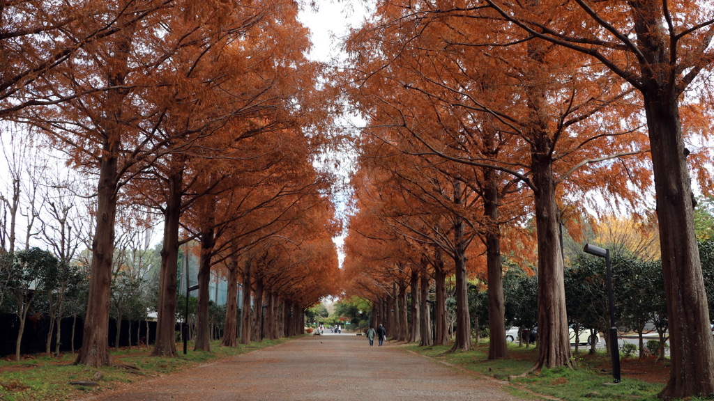 平塚総合公園