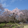 平塚総合公園