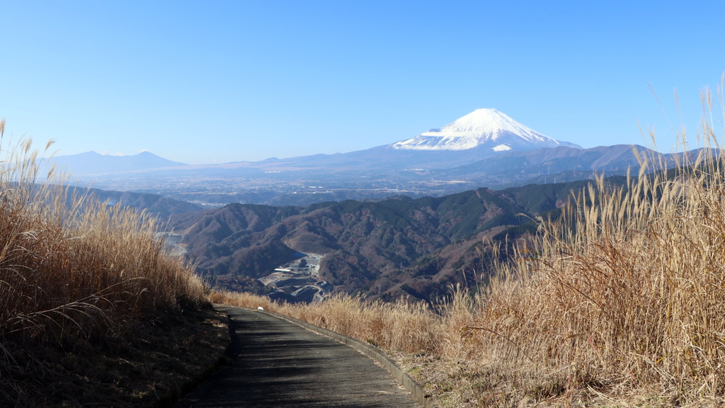 大野山山頂からの富士山