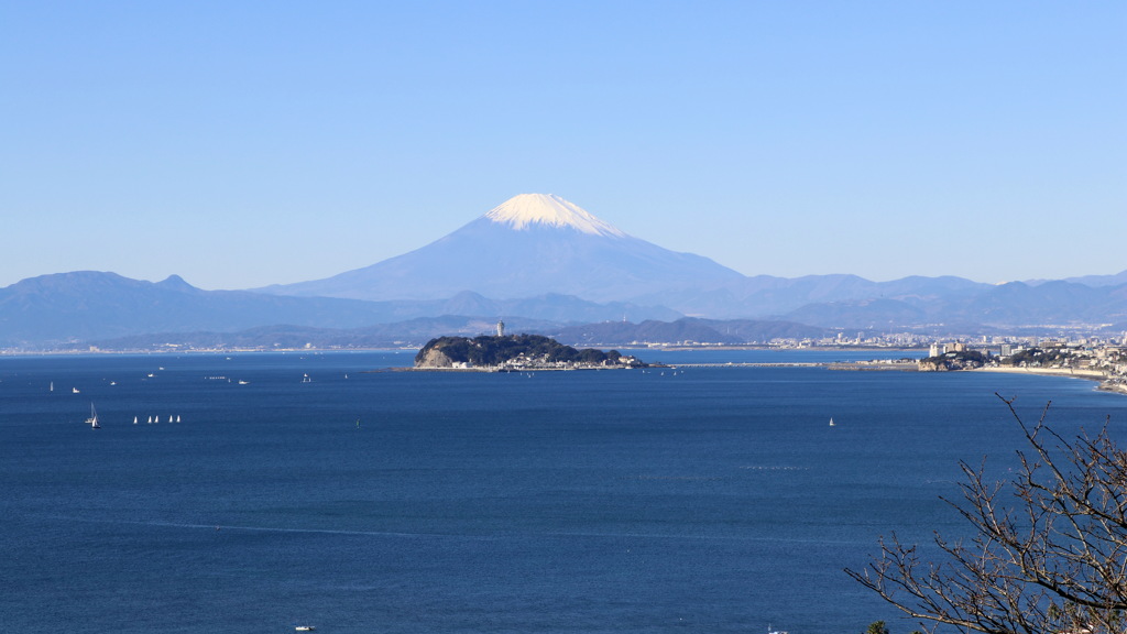 大崎公園