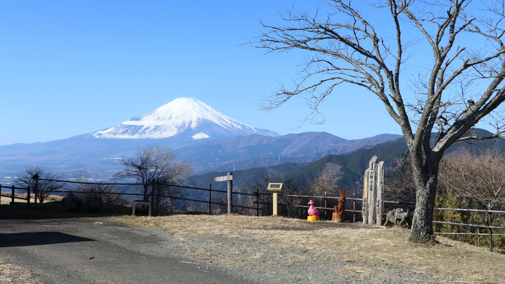 大野山山頂からの富士山