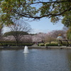 平塚総合公園