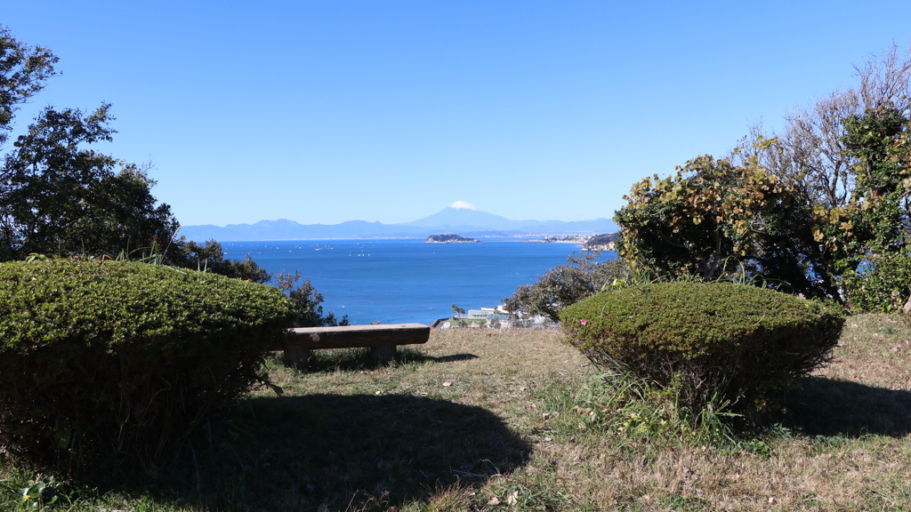 大崎公園