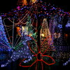 宮ヶ瀬クリスマス