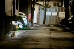 雨上がり