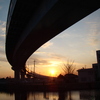夕陽に向かう橋