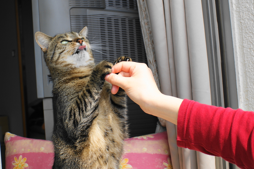 むぐぅっ！