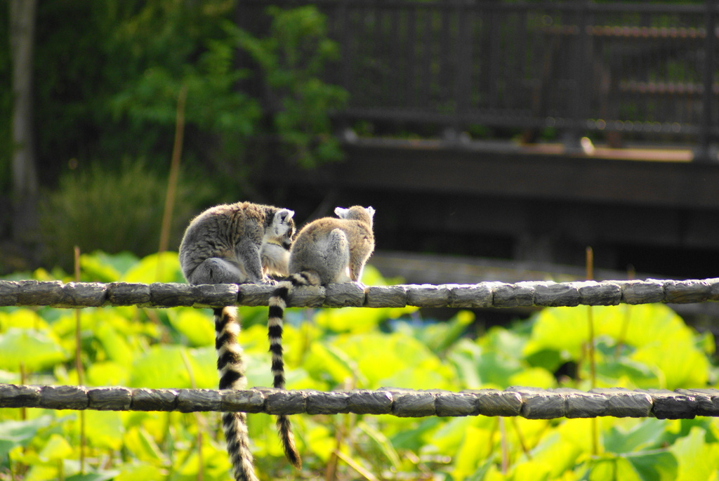 ２人