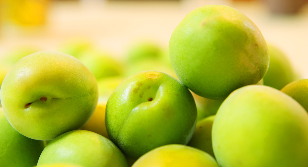 うめ酒を造ろう♪