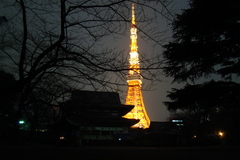 東京タワーと増上寺