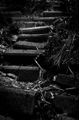 225_Sample