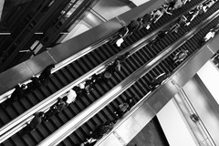 _MG_0733