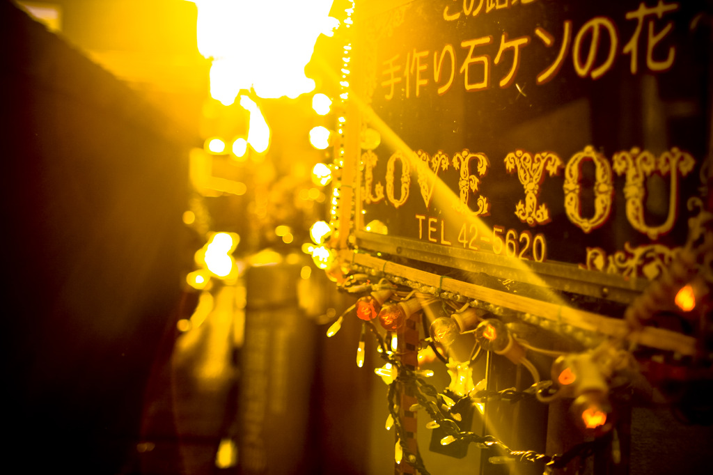 _MG_1231 (2)