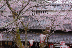 花見茶屋